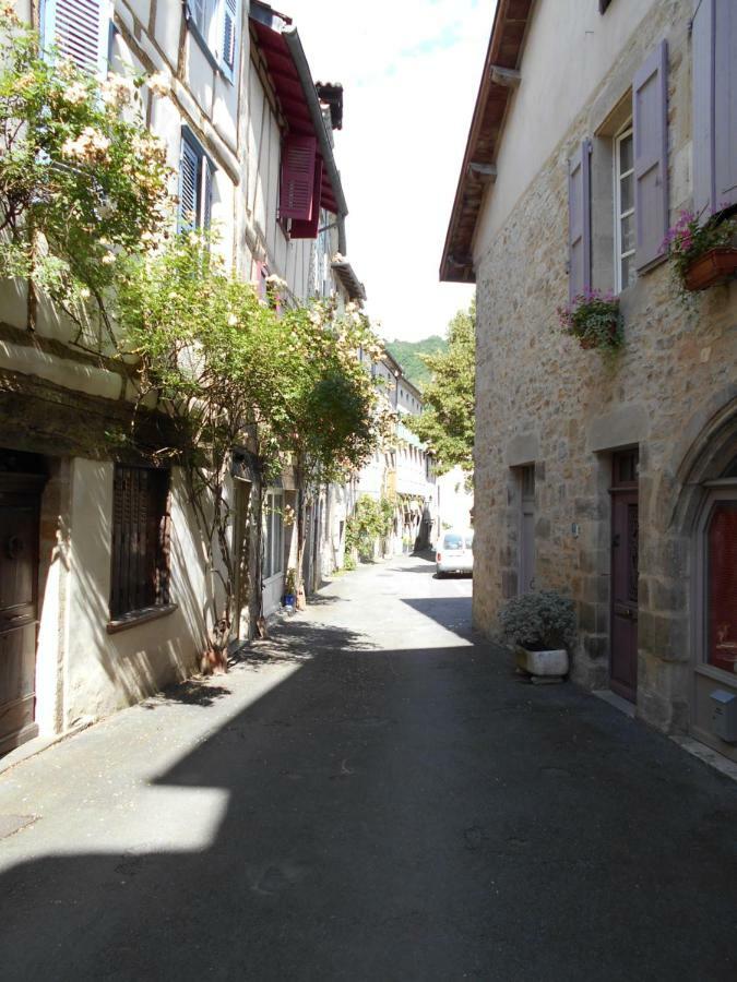 7 Rue Droite Villa Saint-Antonin Eksteriør billede